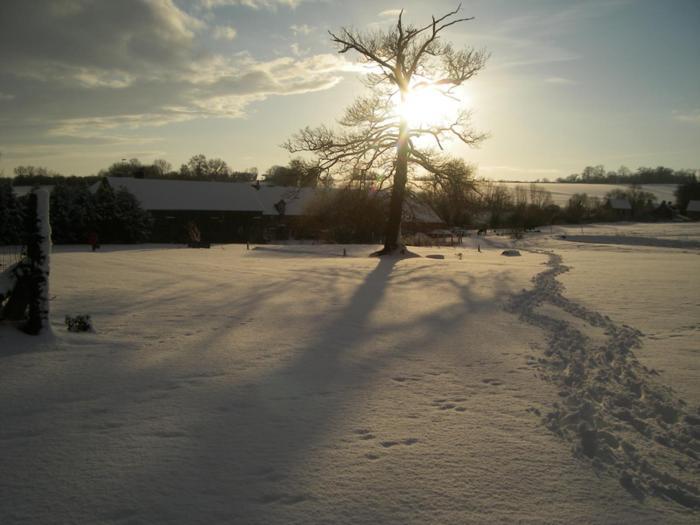 La Ferme Des Epis Guest House Ouffieres Екстериор снимка